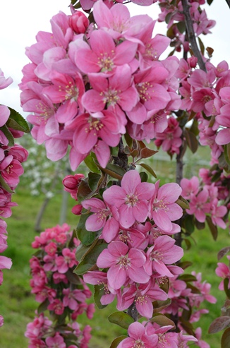 ファイル 28-1.jpg