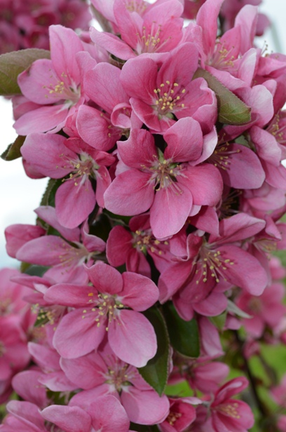 ファイル 28-3.jpg