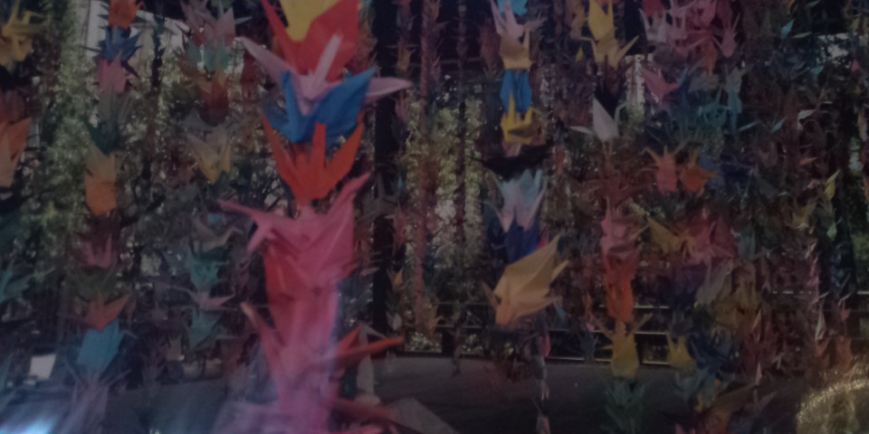 ファイル 31-2.jpg