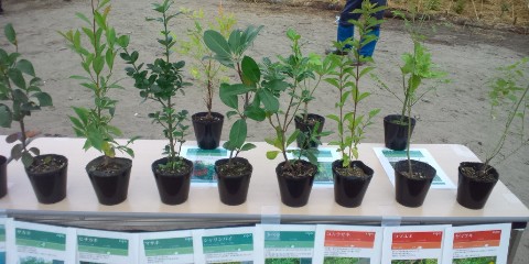 ファイル 34-4.jpg