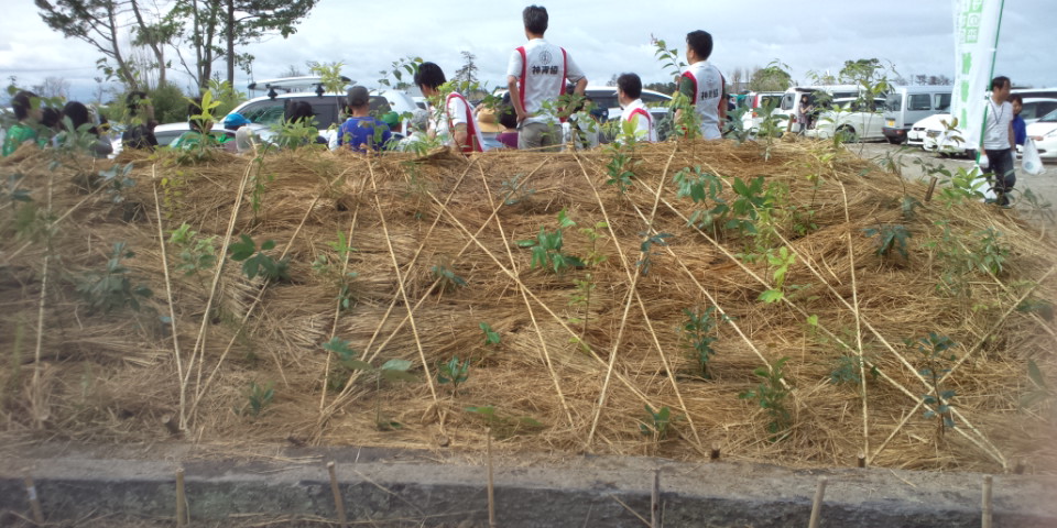 ファイル 34-5.jpg