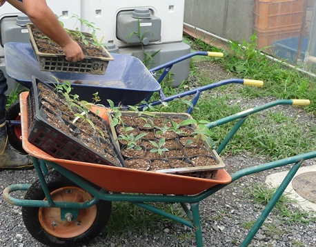 ファイル 38-2.jpg