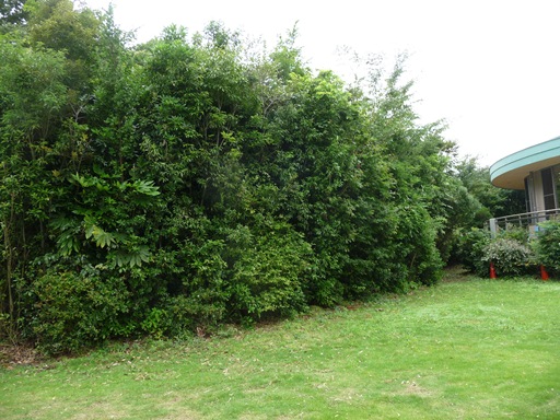 ファイル 38-3.jpg