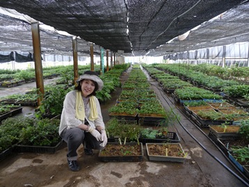 ファイル 38-4.jpg