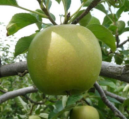 ファイル 44-2.jpg