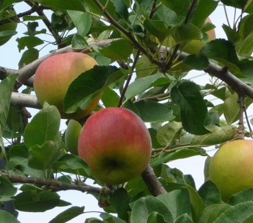 ファイル 44-3.jpg