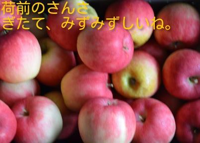 ファイル 48-4.jpg