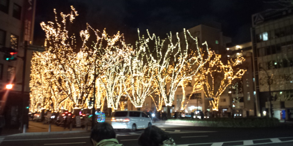 ファイル 6-2.jpg