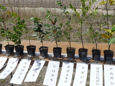 ファイル 68-1.jpg