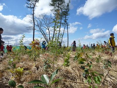 ファイル 68-2.jpg