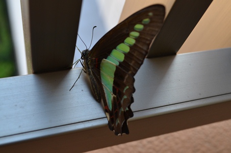 ファイル 71-2.jpg