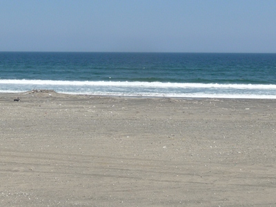 ファイル 72-1.jpg