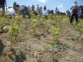 ファイル 73-4.jpg