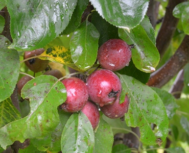 ファイル 75-1.jpg