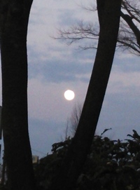 ファイル 89-1.jpg